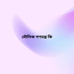 মৌলিক গণতন্ত্র কি