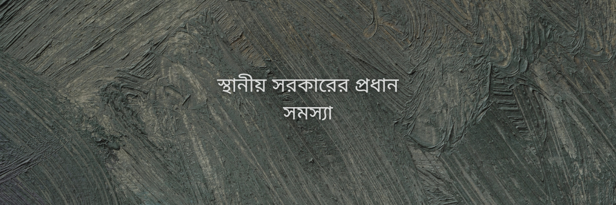 স্থানীয় সরকারের প্রধান সমস্যা