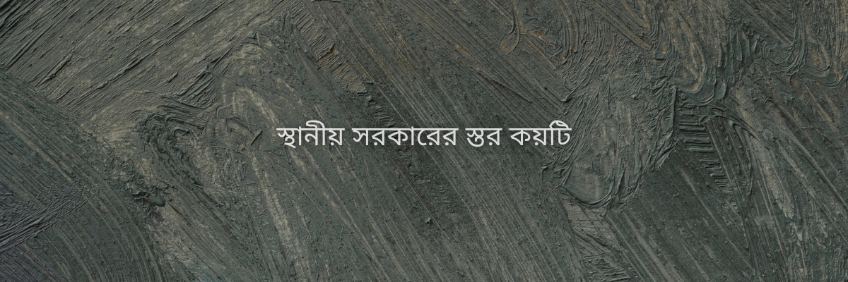 স্থানীয় সরকার