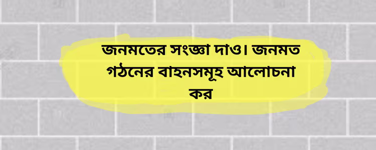 জনমত গঠনের বাহনসমূহ